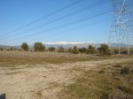 DSC09181.JPG