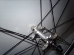 IMAG0178.JPG