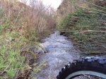 DSC00480.jpg