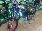 12022010437.jpg