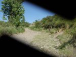 DSCN2275.jpg