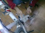 12022010611.jpg