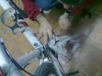 12022010610.jpg