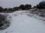 DSC00985.jpg