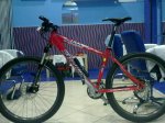 11122009061.jpg