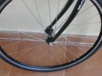DSCN9558.JPG