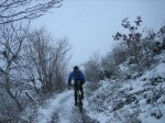 IMG_8845.JPG