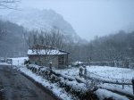 IMG_8831.JPG