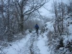 IMG_8846.JPG
