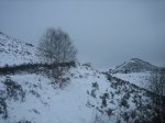 IMG_8947.jpg