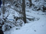 IMG_8922.jpg