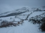 IMG_8945.jpg