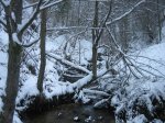 IMG_8921.jpg