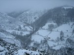 IMG_8900.jpg