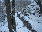 IMG_8918.jpg