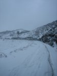 IMG_8942.jpg