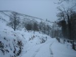 IMG_8938.jpg