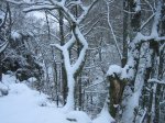 IMG_8917.jpg