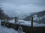 IMG_8937.jpg