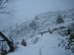 IMG_8859.JPG