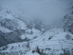 IMG_8893.jpg