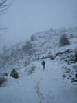 IMG_8858.JPG