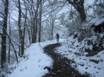 IMG_8913.jpg