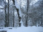 IMG_8911.jpg