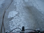 IMG_8855.JPG