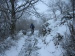 IMG_8847.JPG