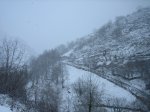 IMG_8853.JPG