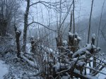 IMG_8838.JPG