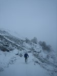 IMG_8886.jpg