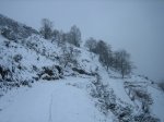 IMG_8885.jpg