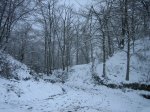 IMG_8929.jpg