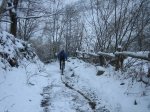 IMG_8927.jpg
