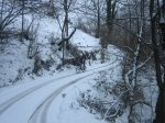IMG_8952.jpg