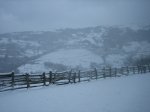 IMG_8928.jpg
