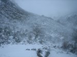 IMG_8907.jpg