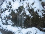 IMG_8951.jpg