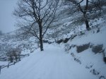 IMG_8878.JPG