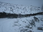 IMG_8948.jpg