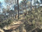 DSCN1531.jpg