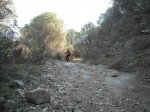 DSCN1528.jpg