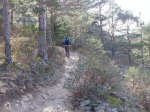 Guadarrama a media altura 021.jpg