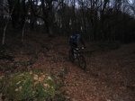 IMG_0334.jpg