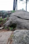 CORUJO 13-02-2010 041.jpg