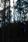 CORUJO 13-02-2010 112.jpg