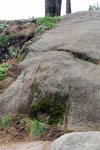 CORUJO 13-02-2010 027.jpg