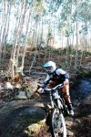 CORUJO 13-02-2010 019.jpg